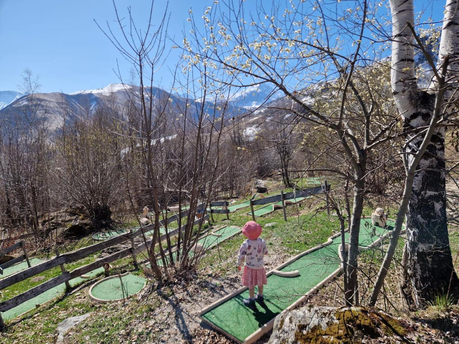 Le Domaine Du Trappeur Hotel Saint-Sorlin-d'Arves Luaran gambar